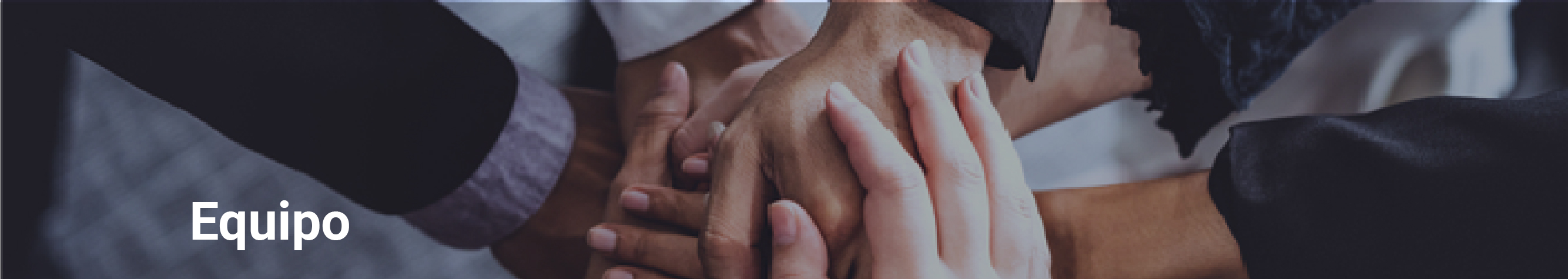 Banner de sección